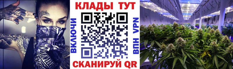 Названия наркотиков Гай ГАШ  Альфа ПВП  Меф 