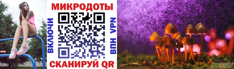 Галлюциногенные грибы мухоморы Гай